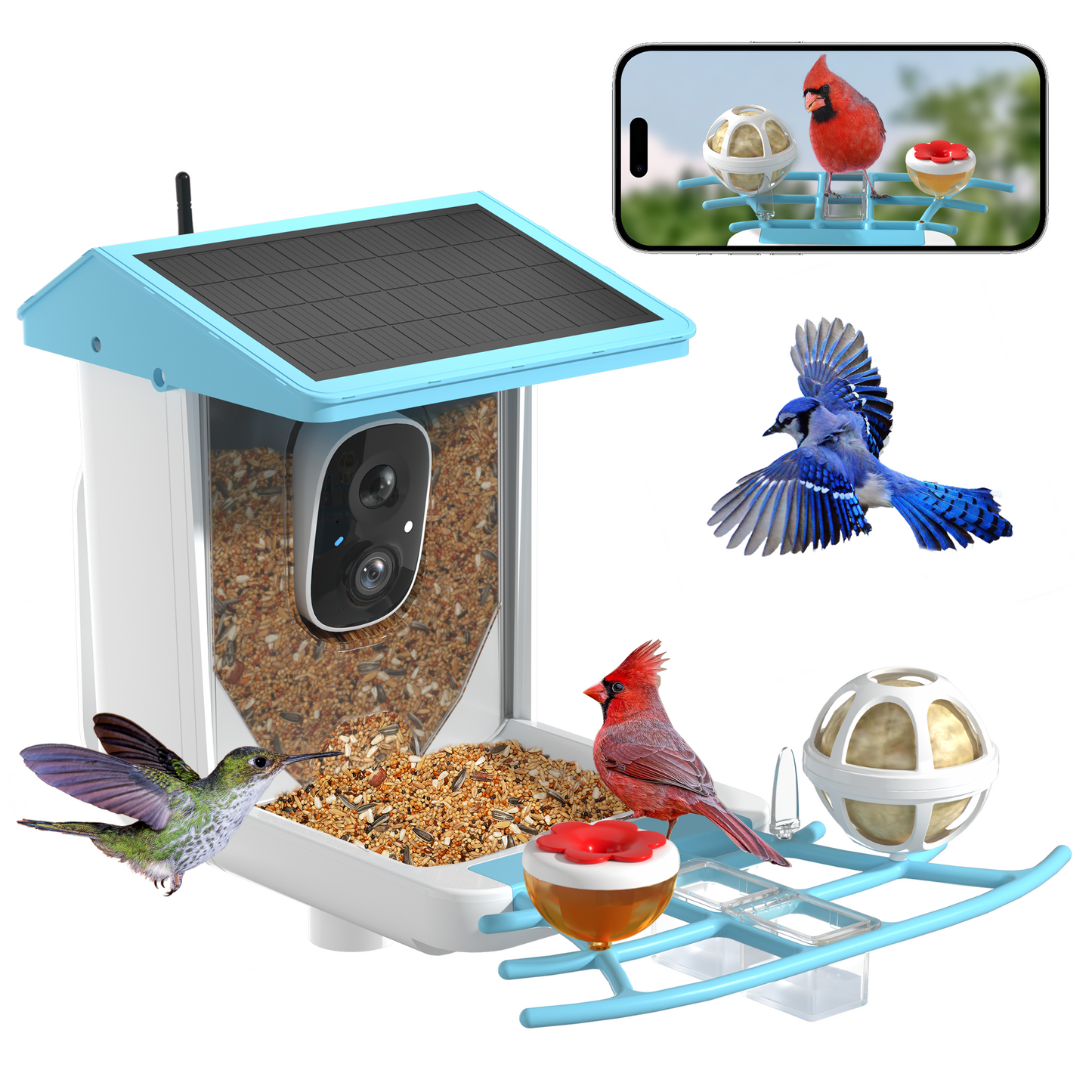 REDSASA Smart Bird Feeder with Camera, 2K HD Bird Feeder Camera, AI Auto-Capture & Motion Detection, 173° View, AI Identify 11000+ Birds, Ideal Gift for Birds Lovers