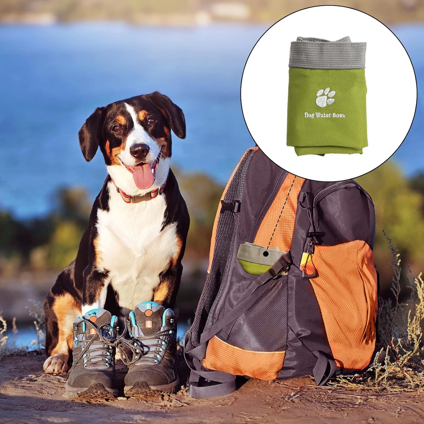 48 oz Portable Foldable Travel Pet Water Bowl and Food Bowls