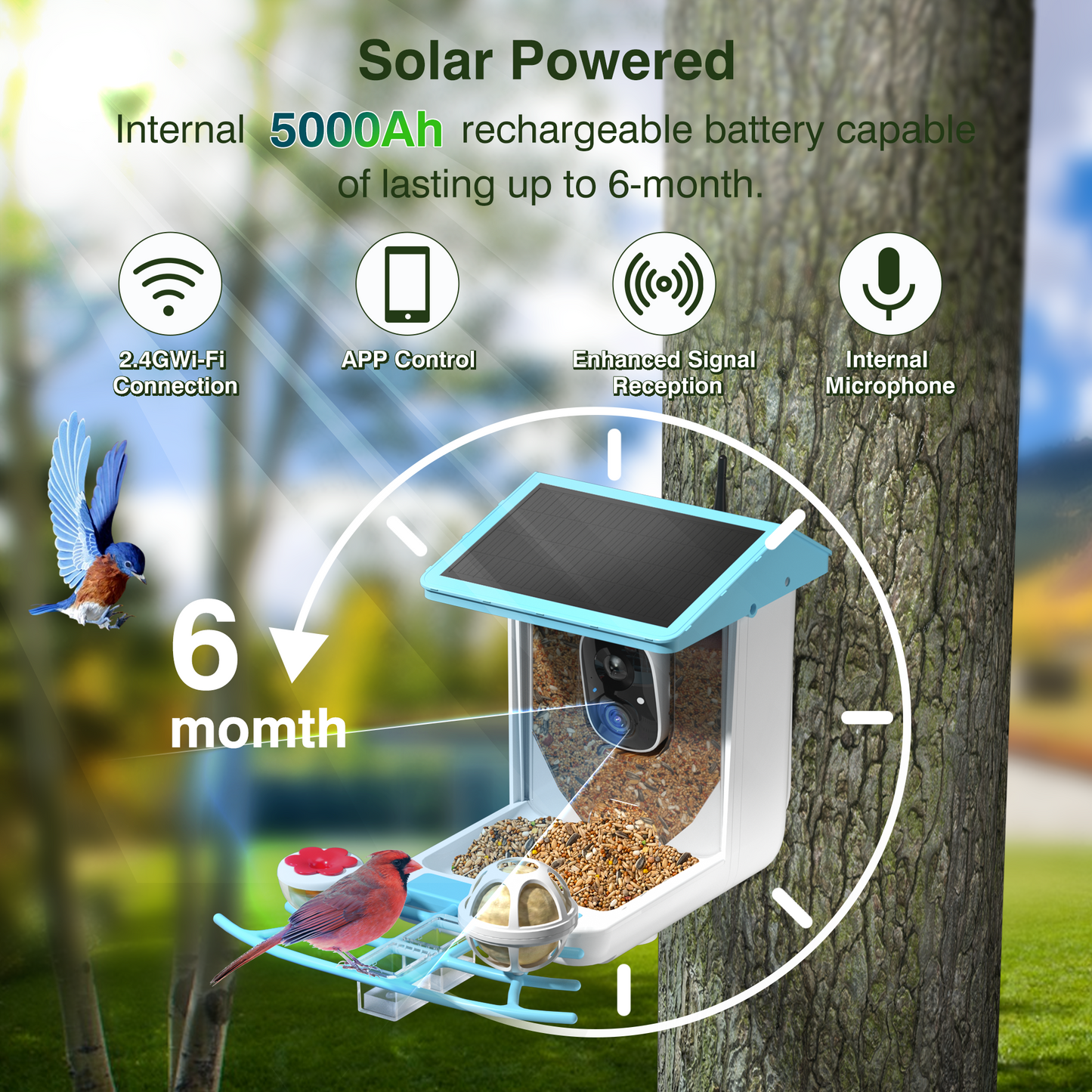 REDSASA Smart Bird Feeder with Camera, 2K HD Bird Feeder Camera, AI Auto-Capture & Motion Detection, 173° View, AI Identify 11000+ Birds, Ideal Gift for Birds Lovers