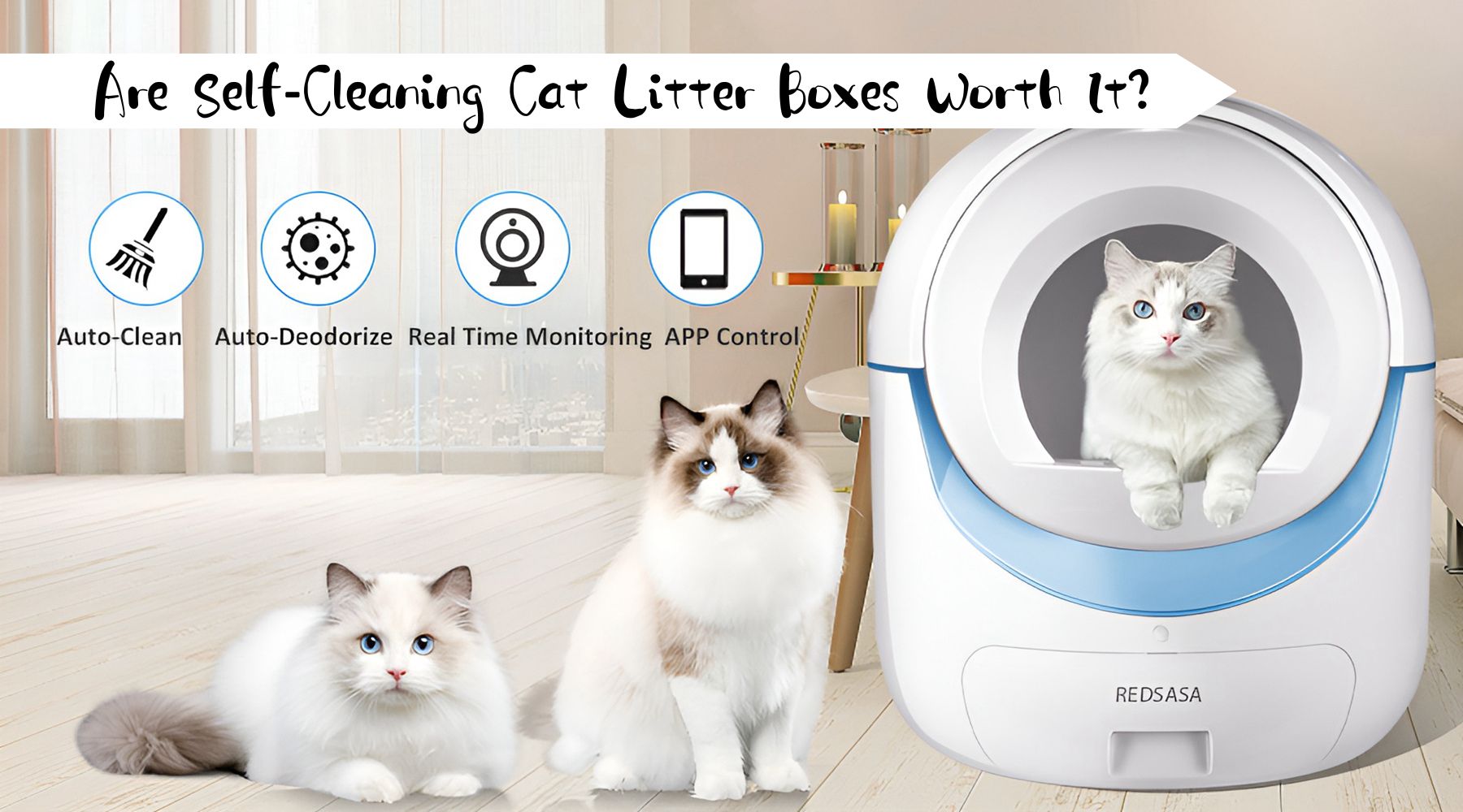 Are SelfCleaning Cat Litter Boxes Worth It? REDSASA