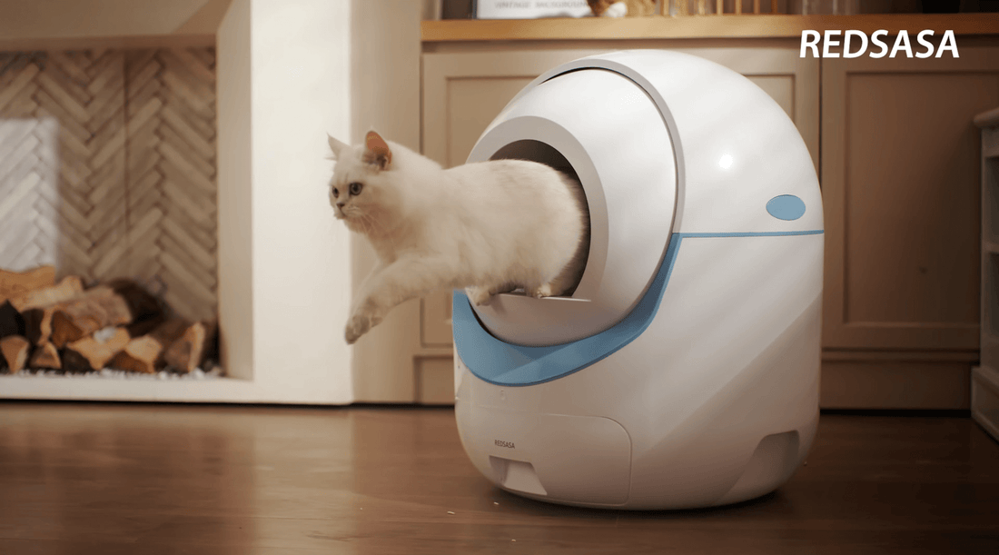 The Ultimate Guide to Automatic Cat Litter Boxes | REDSASA