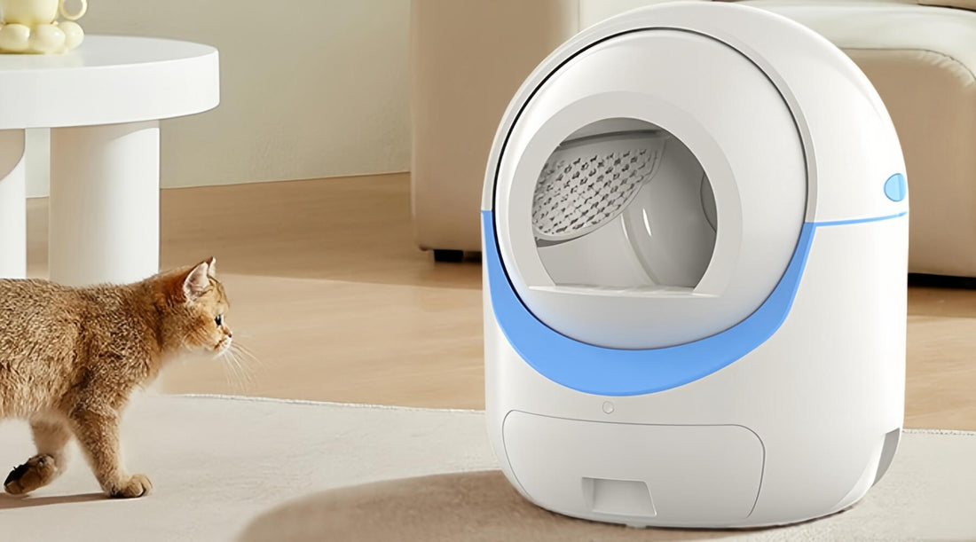 How to Choose the Perfect Self-Cleaning Cat Litter Box for Your Cats?