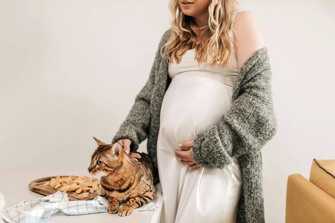 Ensuring Safety for Cats and Pregnant Women