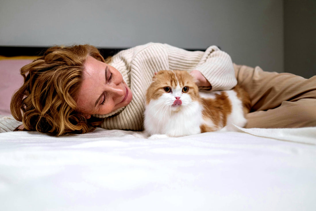 Understanding Kidney Disease in Cats