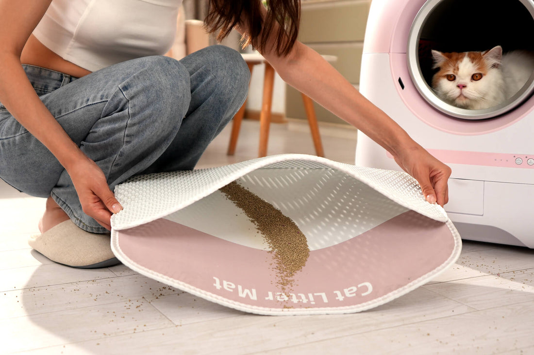 What's Inside Cat Litter？