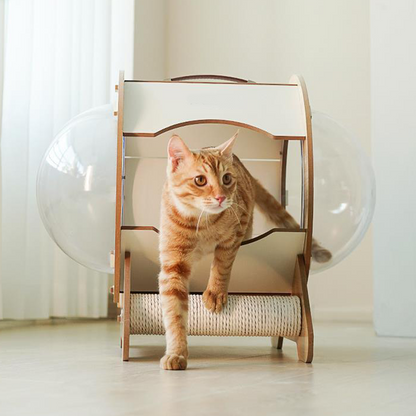 REDSASA 2-in-1 Cat House with Scratch Board, 360°View Large Capacity Cat Bed for Cats of All Ages with Staircase