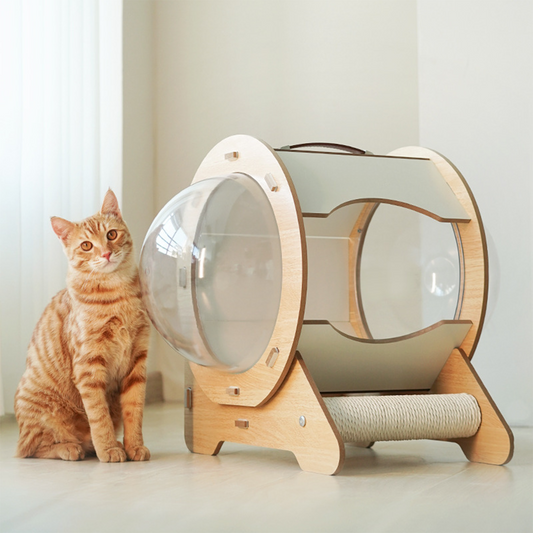 REDSASA 2-in-1 Cat House with Scratch Board, 360°View Large Capacity Cat Bed for Cats of All Ages with Staircase