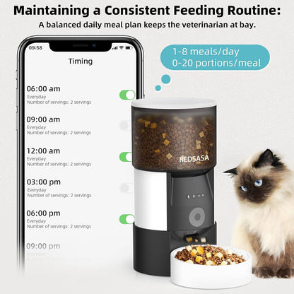 Maintaining a consistent Feeding Routine | Cat Feeder