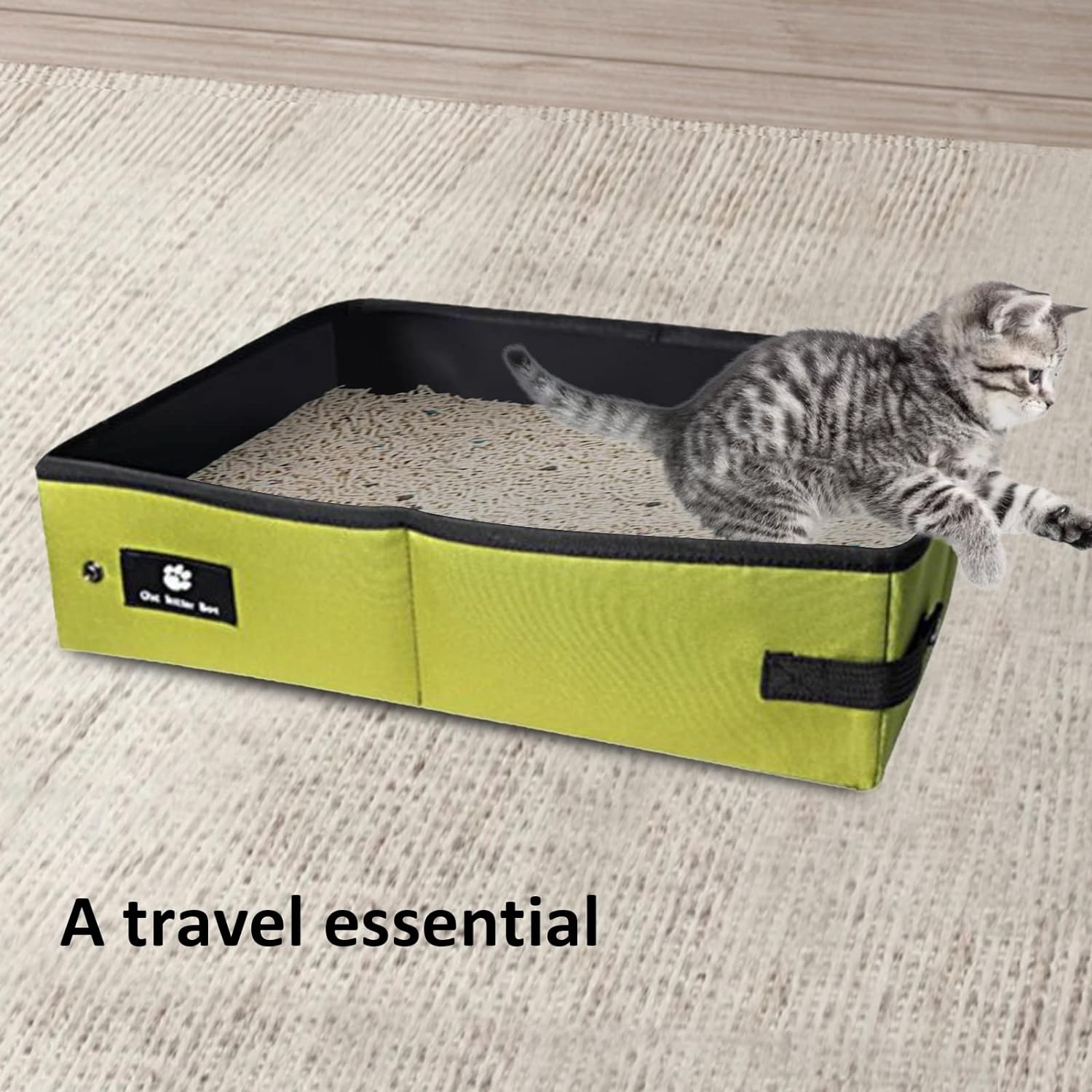 Portable cat litter outlet box for travel