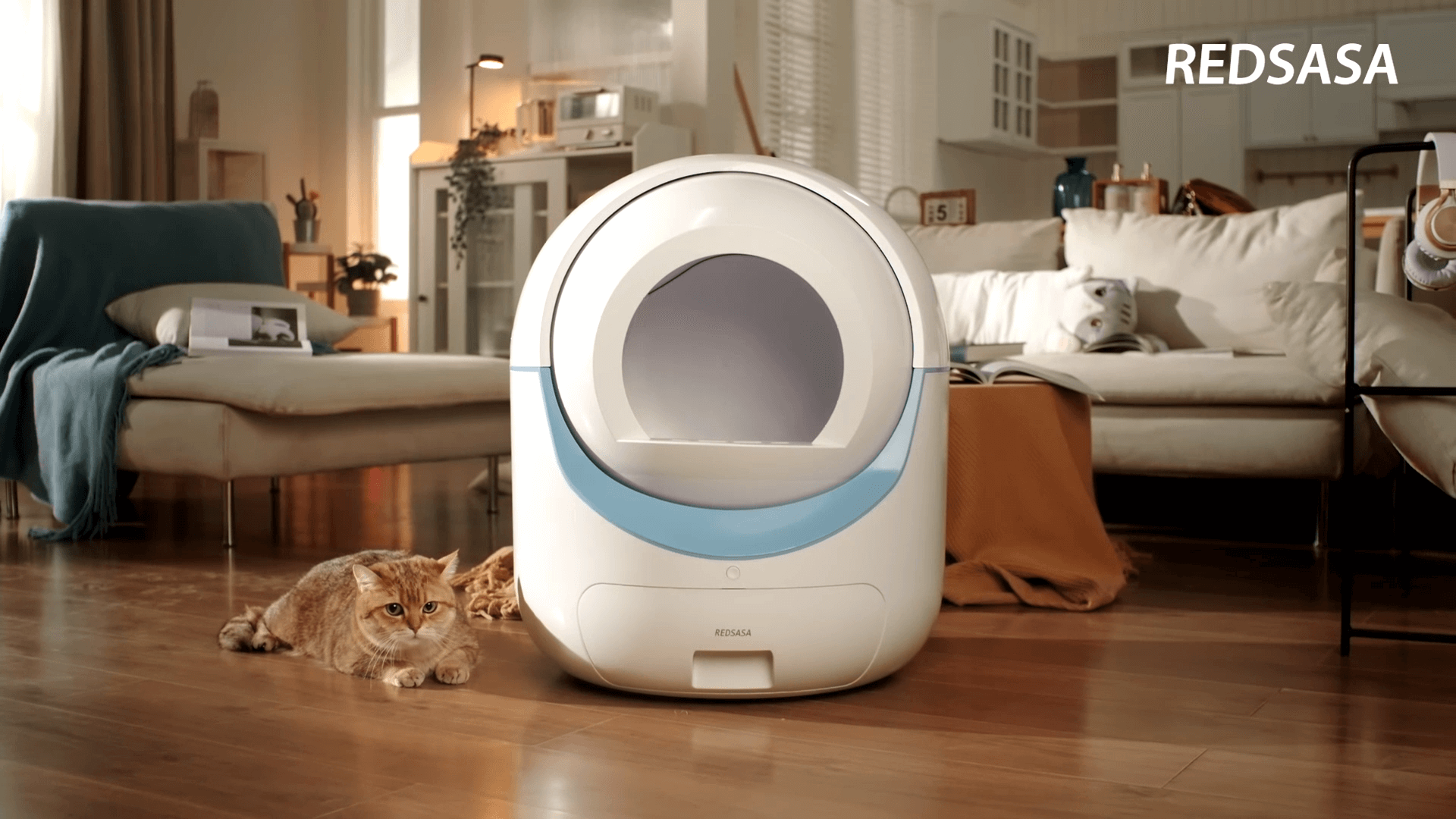 Load video: Discover the REDSASA Automated Litter Box