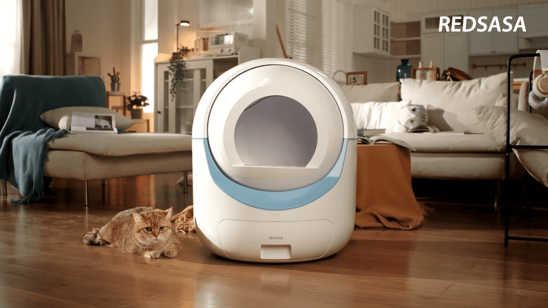 Discover the REDSASA Automated Litter Box