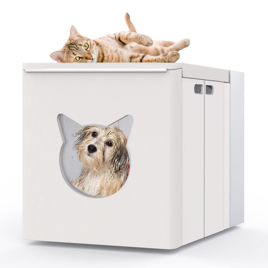 Portable & Folding Automatic Pet Drying Box