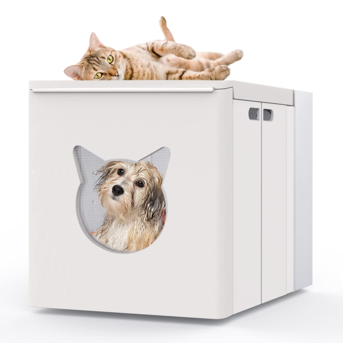 Portable Folding Automatic Pet Dryer Box